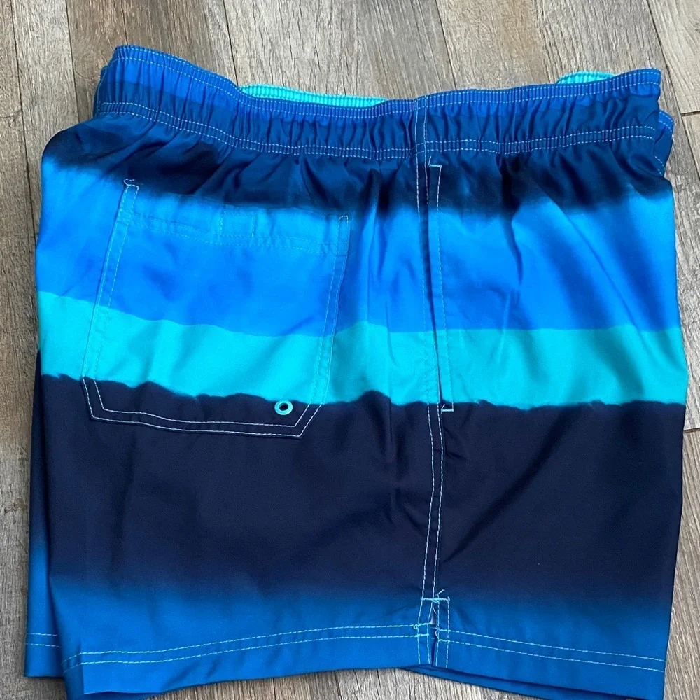 Speedo Men's Swimm Shorts in Blue and Black